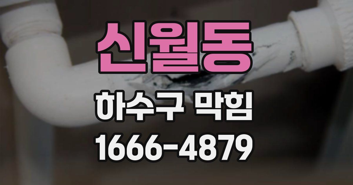 신월동 하수구 막힘