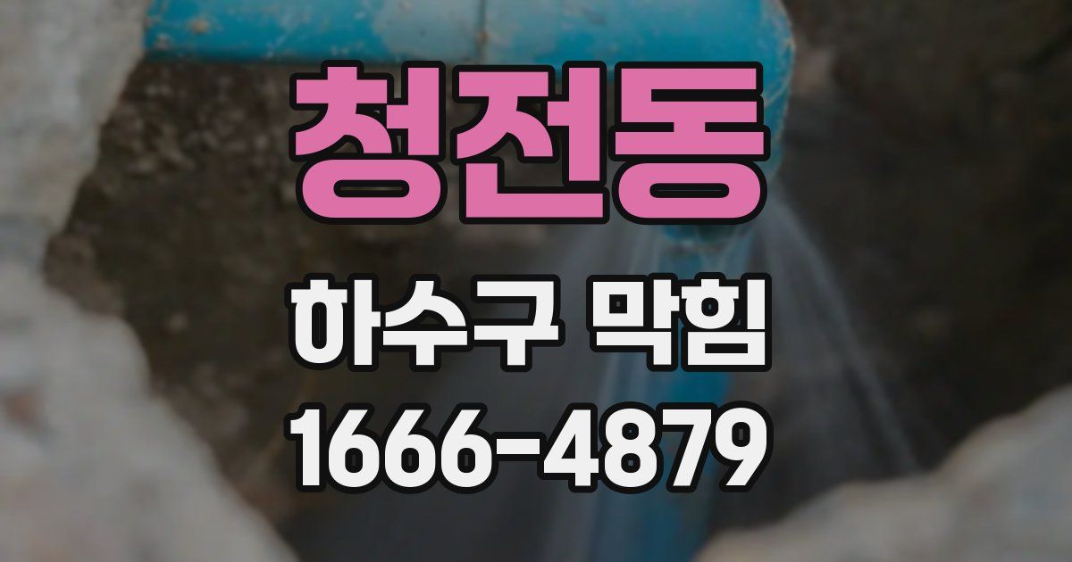 청전동 하수구 막힘