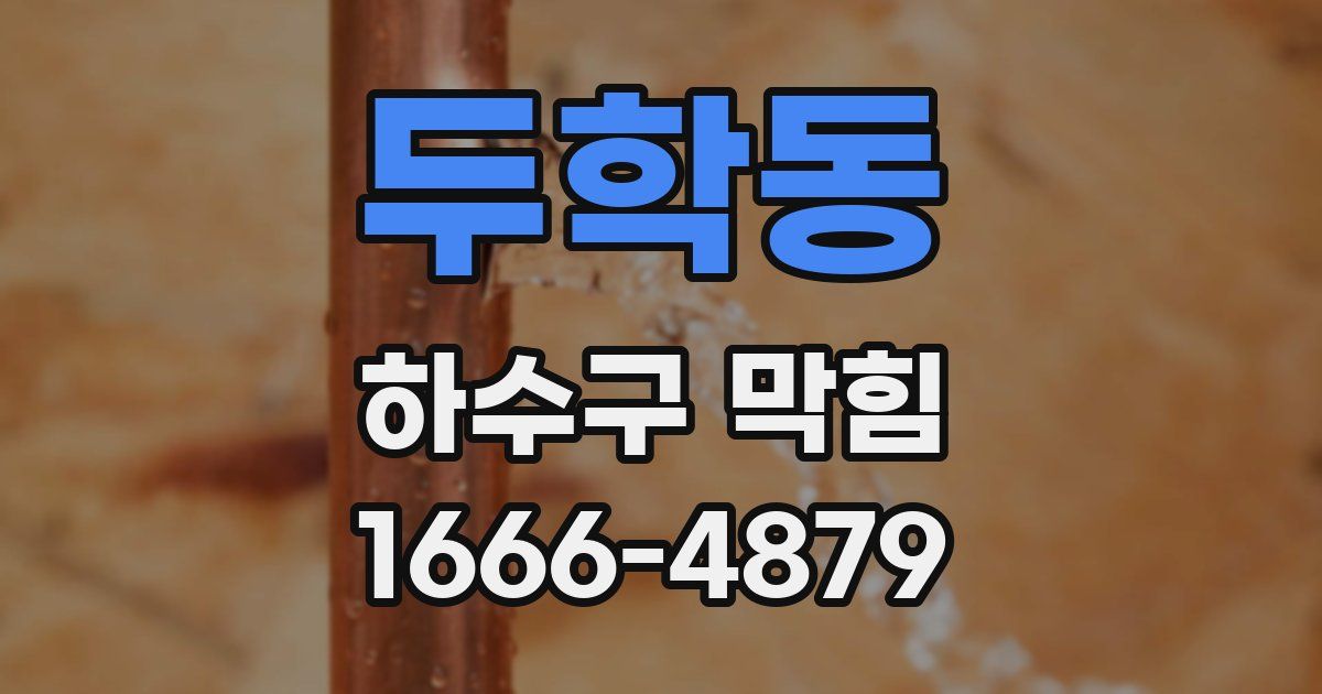 두학동 하수구 막힘