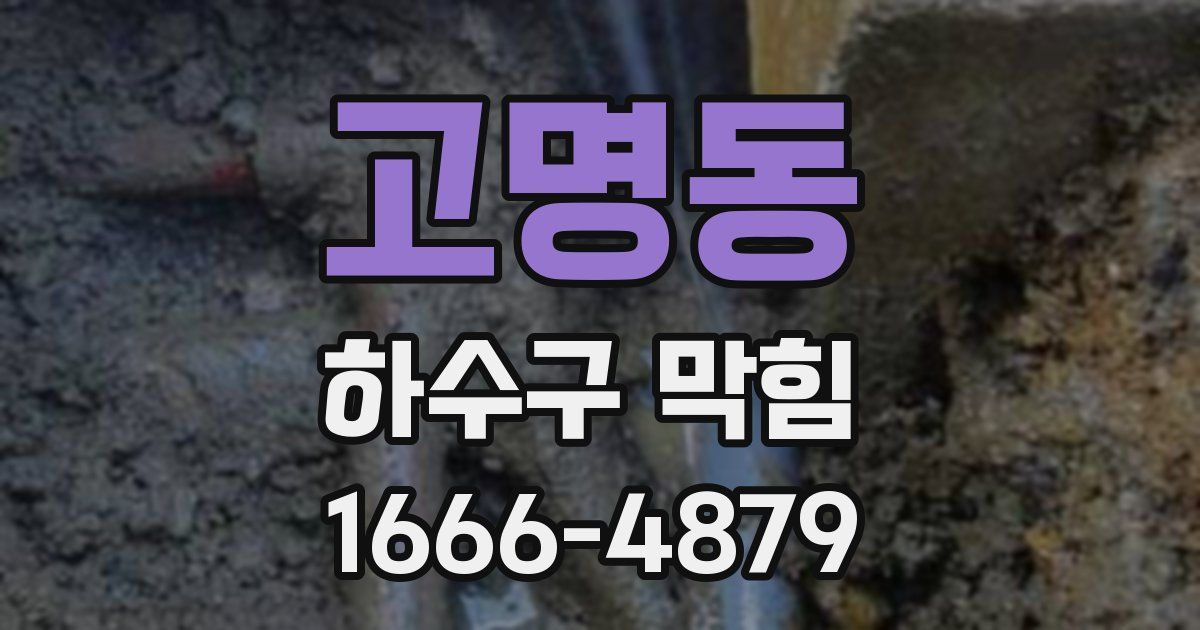 고명동 하수구 막힘