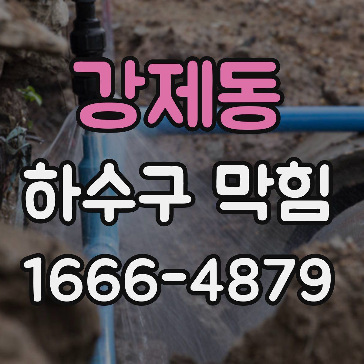 강제동 하수구 막힘