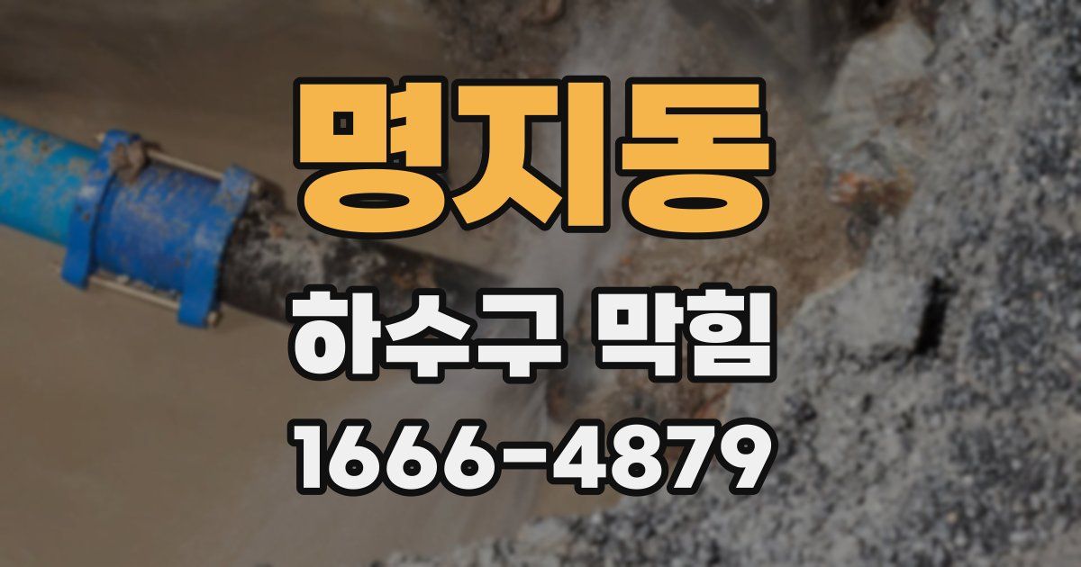 명지동 하수구 막힘