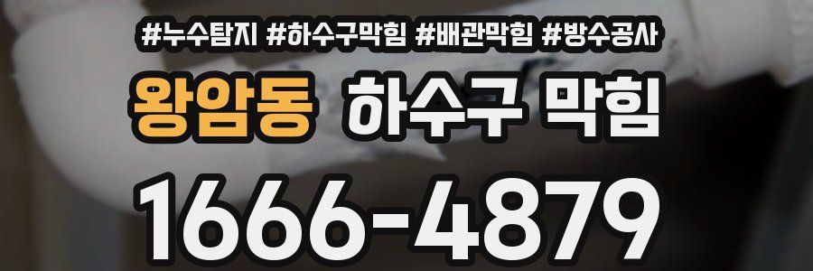 왕암동 하수구 막힘