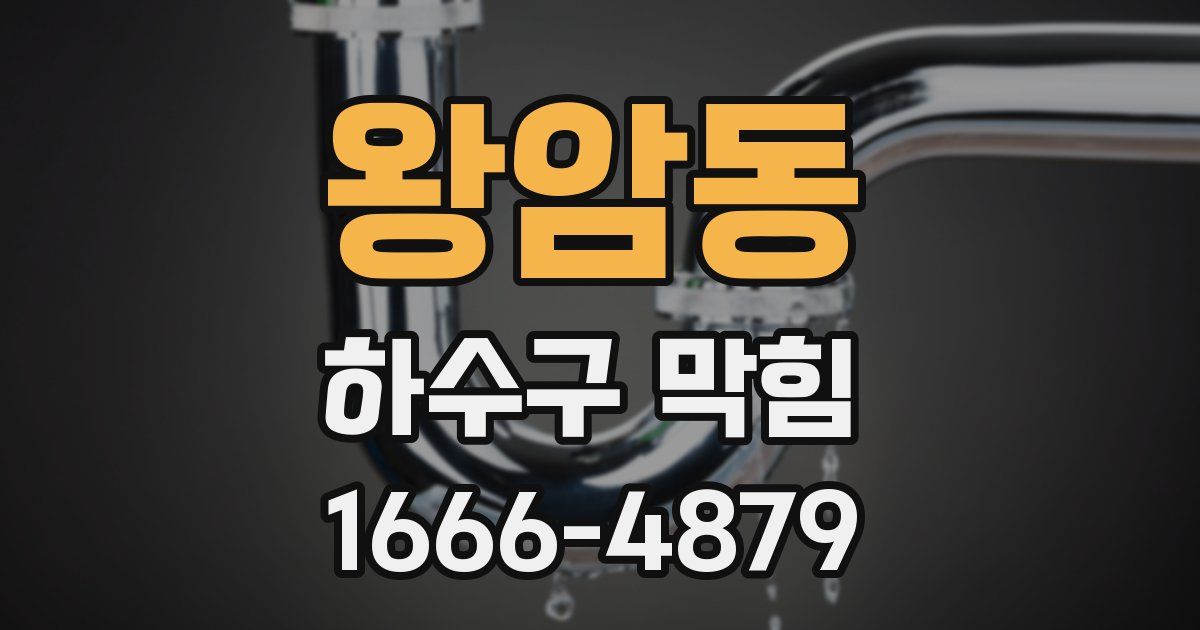 왕암동 하수구 막힘