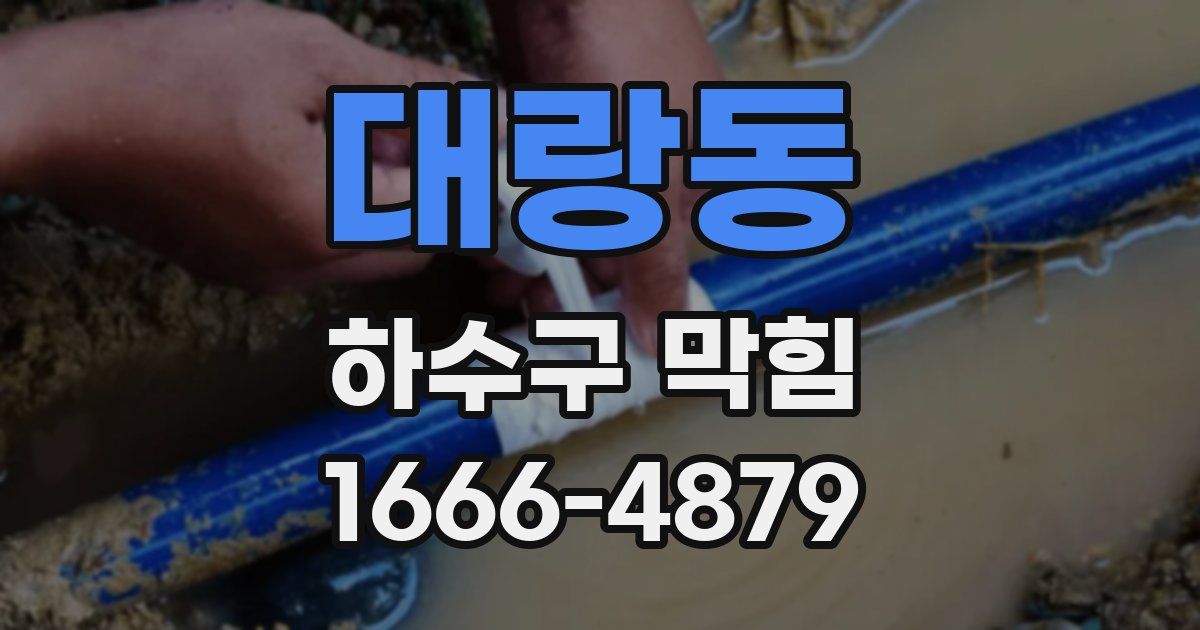 대랑동 하수구 막힘