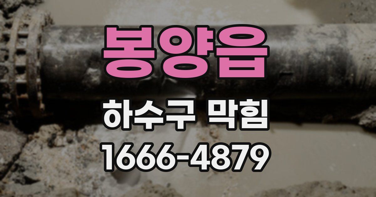 봉양읍 하수구 막힘