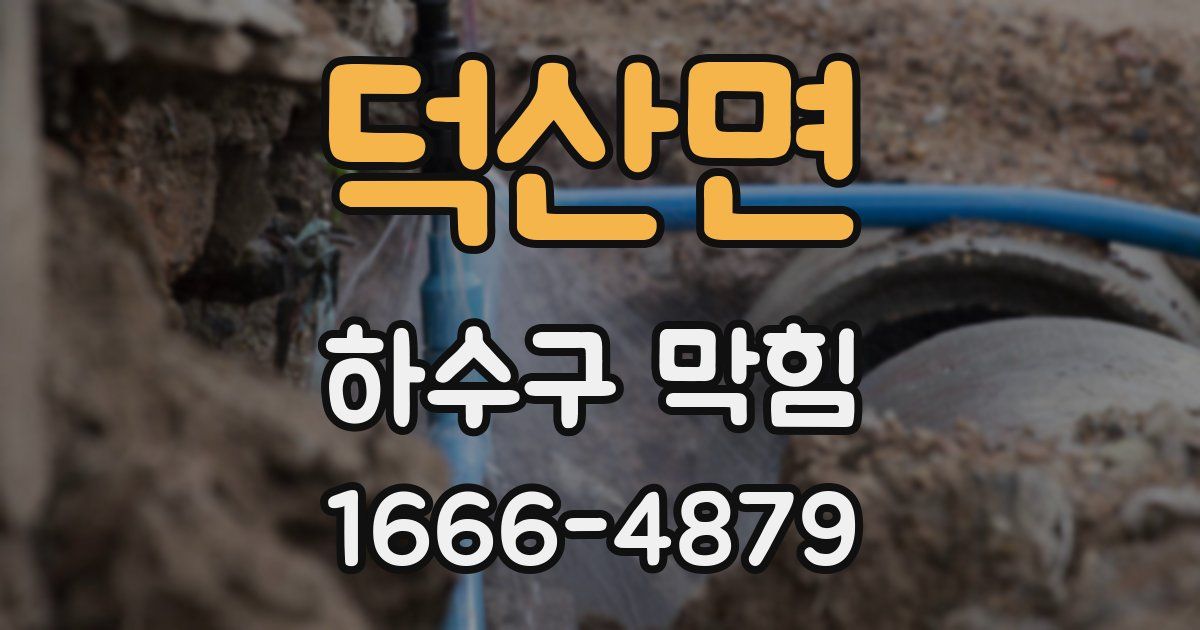 덕산면 하수구 막힘