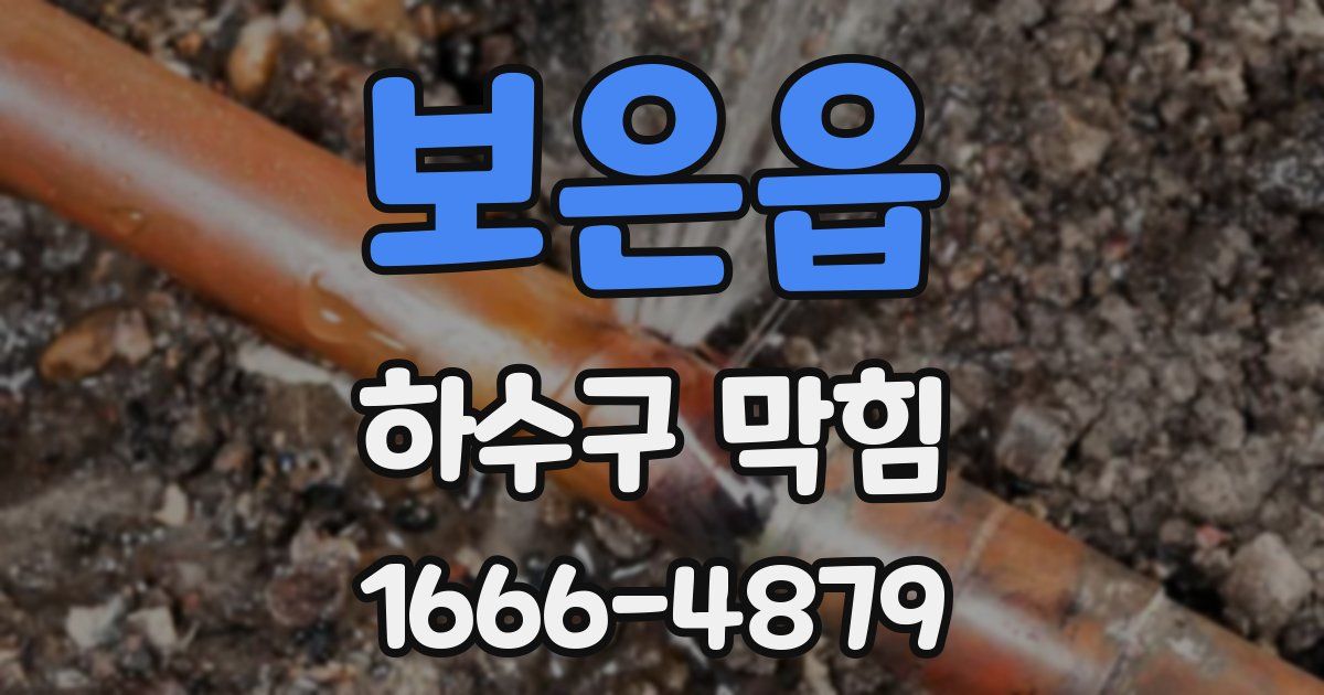 보은읍 하수구 막힘