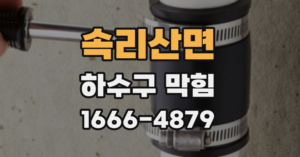 속리산면 하수구 막힘