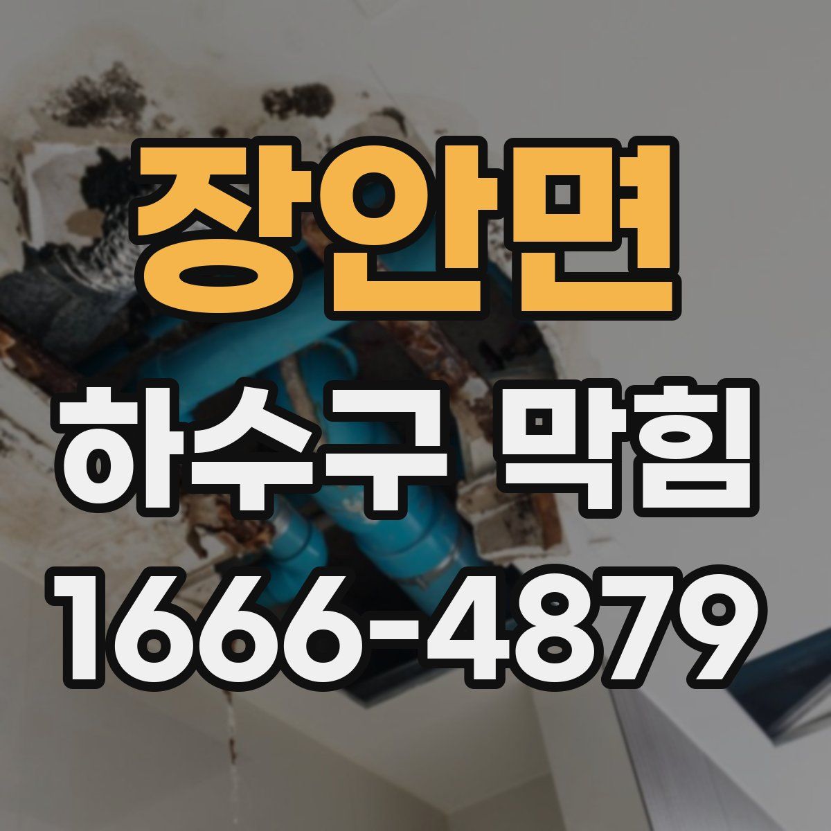 장안면 하수구 막힘