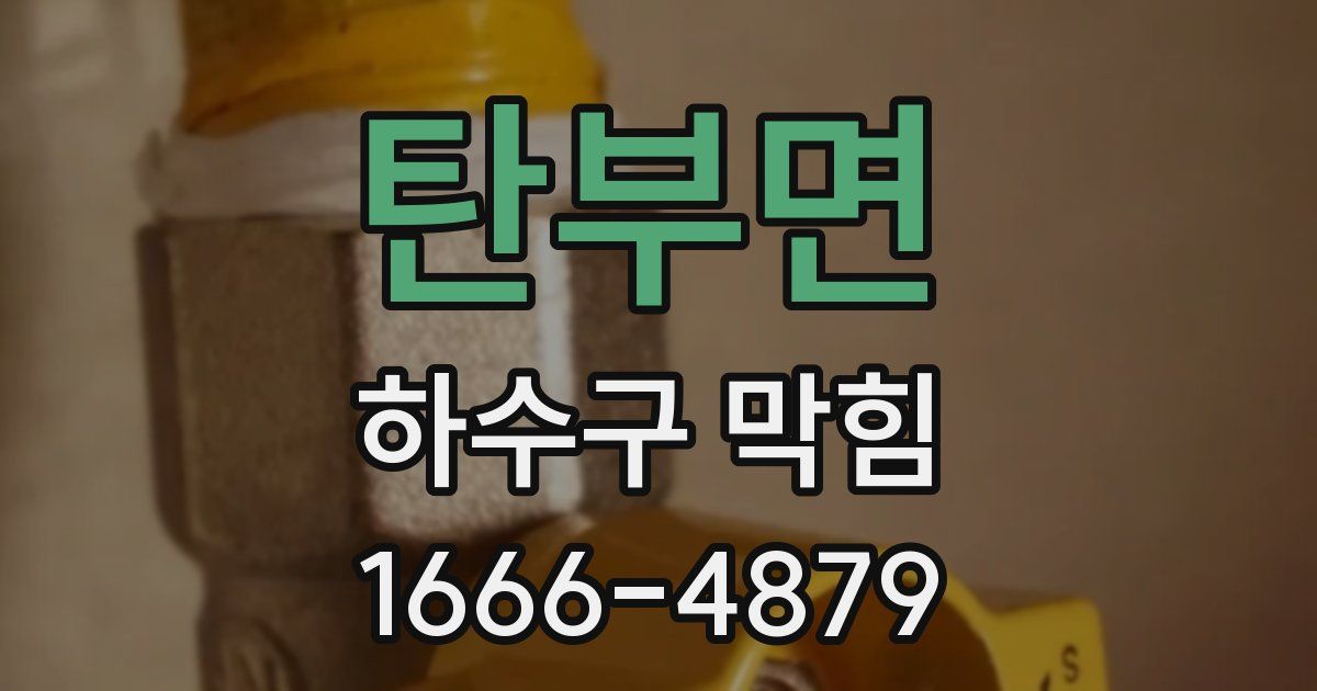 탄부면 하수구 막힘
