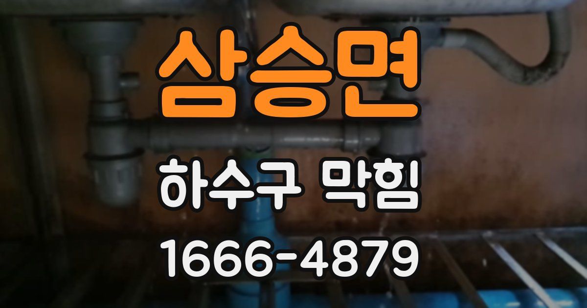 삼승면 하수구 막힘