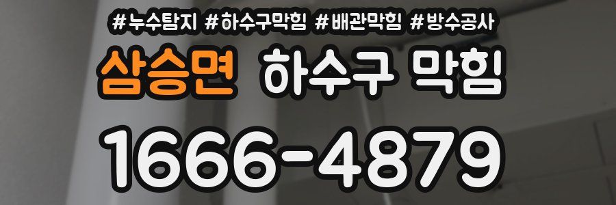 삼승면 하수구 막힘