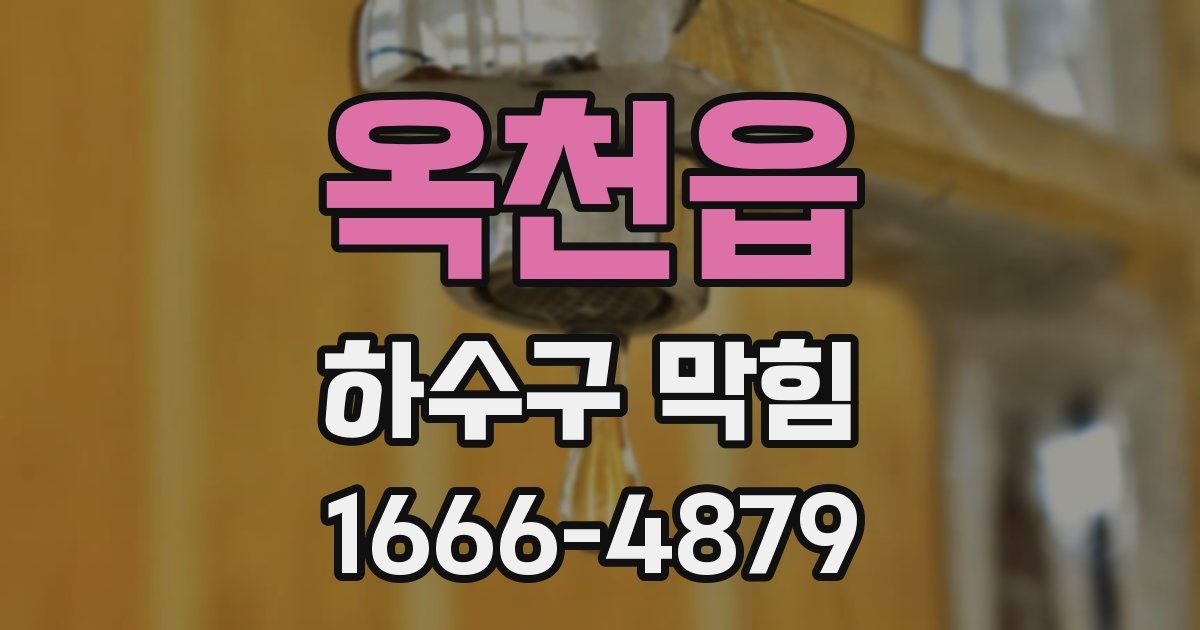 옥천읍 하수구 막힘