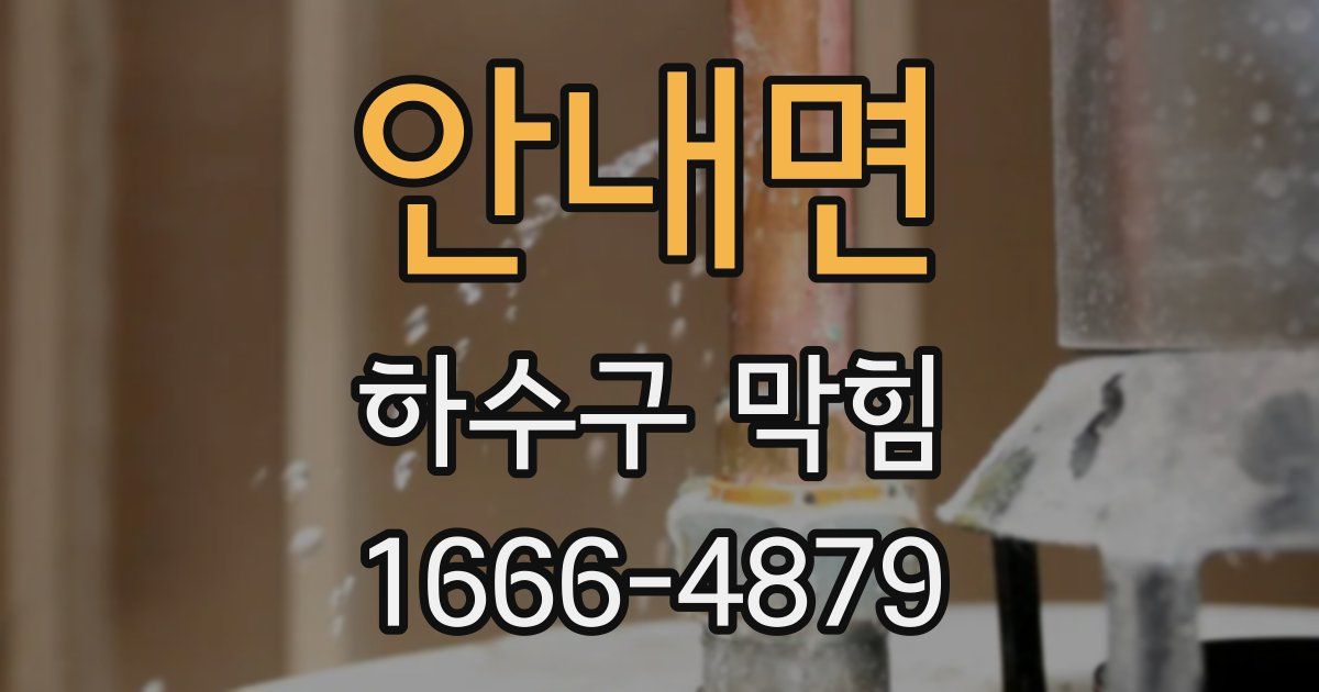 안내면 하수구 막힘