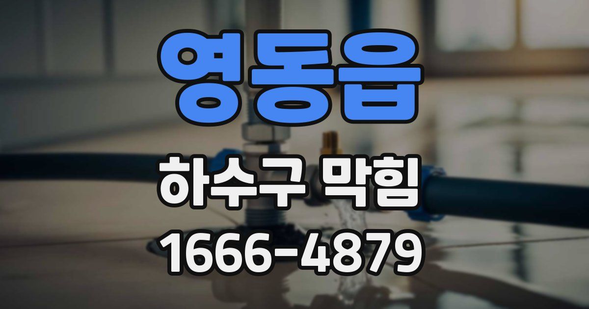 영동읍 하수구 막힘