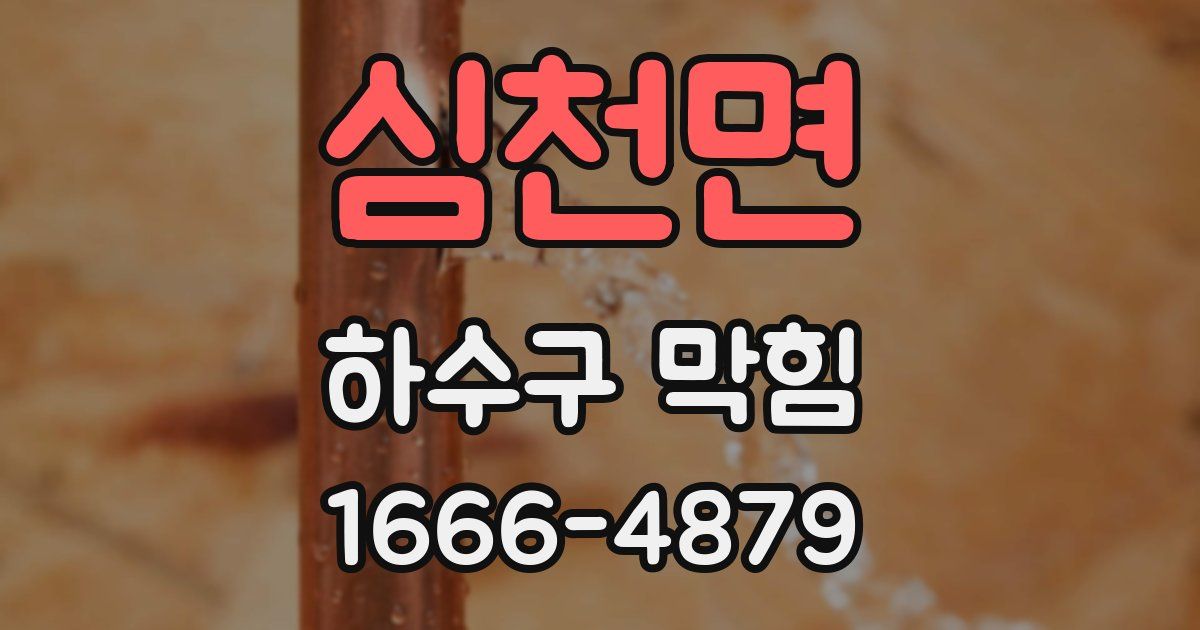 심천면 하수구 막힘