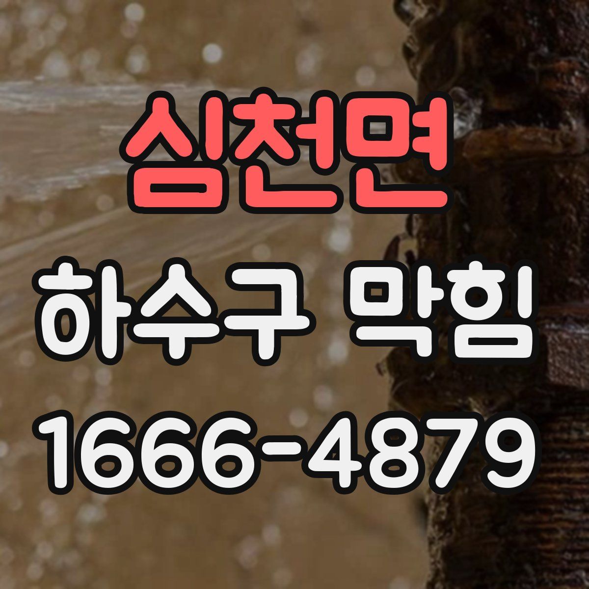 심천면 하수구 막힘