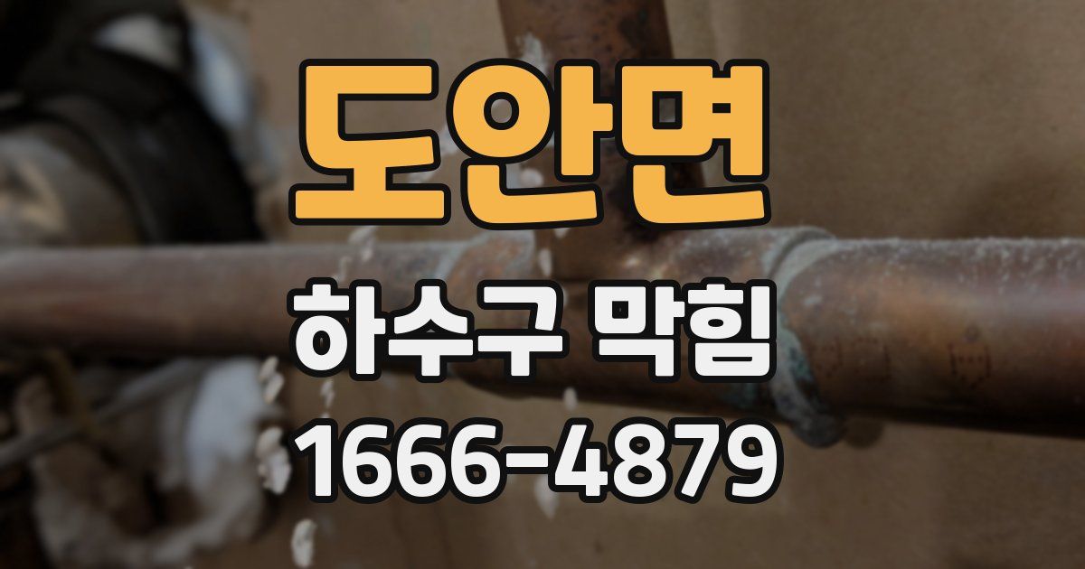 도안면 하수구 막힘