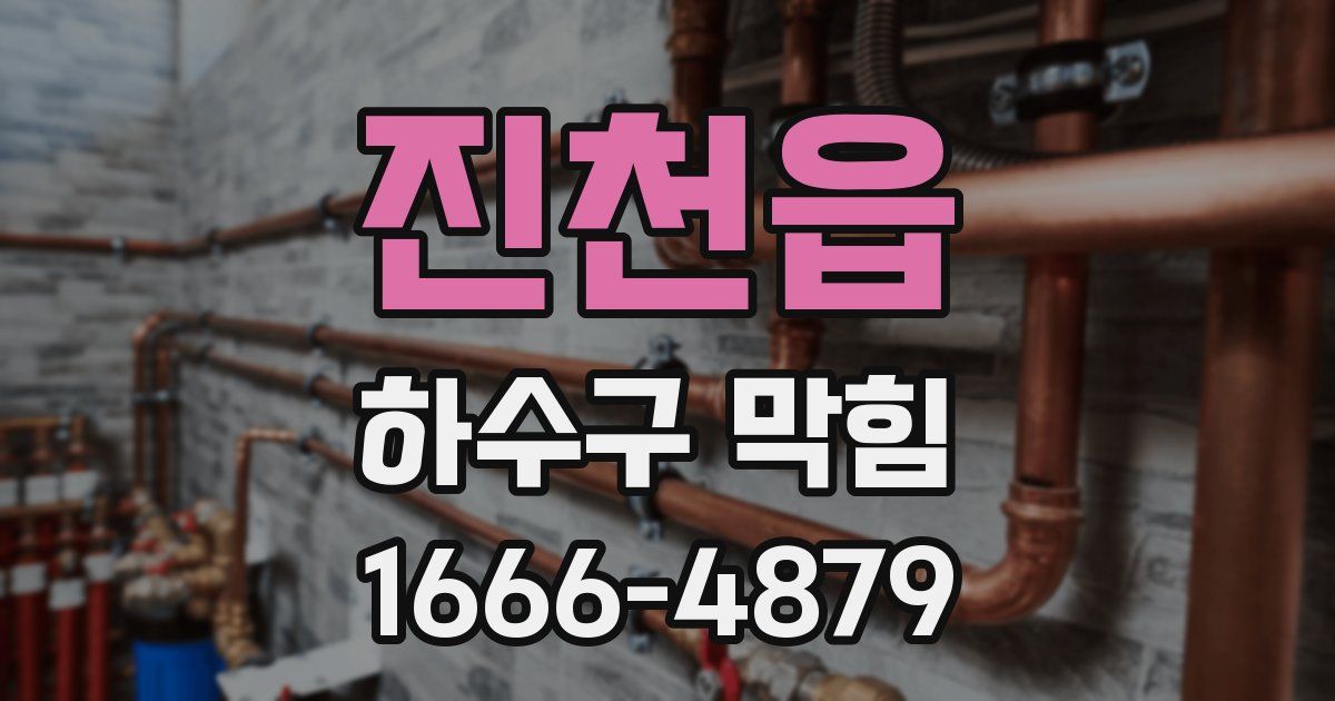 진천읍 하수구 막힘