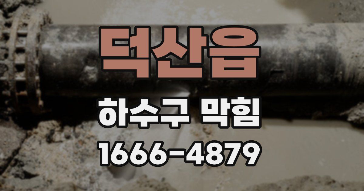 덕산읍 하수구 막힘