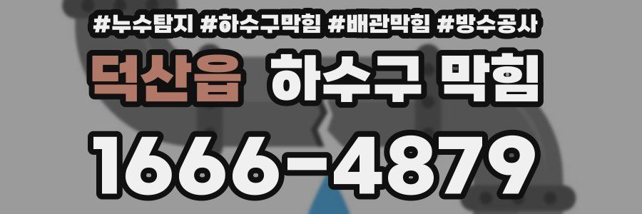 덕산읍 하수구 막힘