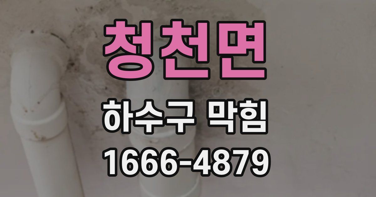 청천면 하수구 막힘