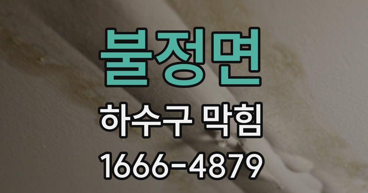 불정면 하수구 막힘