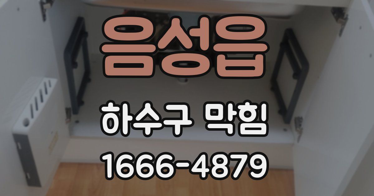 음성읍 하수구 막힘