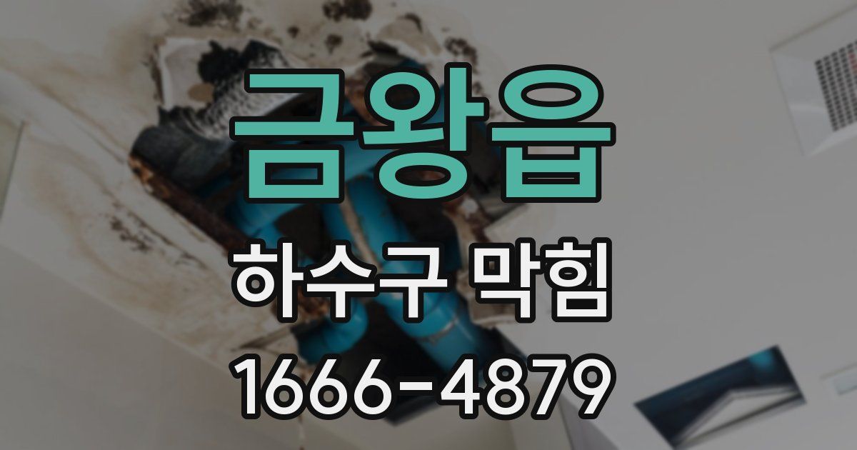 금왕읍 하수구 막힘