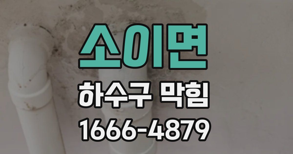 소이면 하수구 막힘