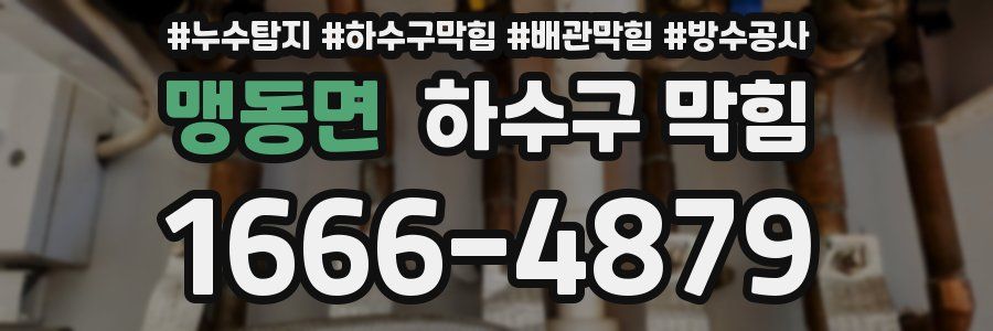 맹동면 하수구 막힘