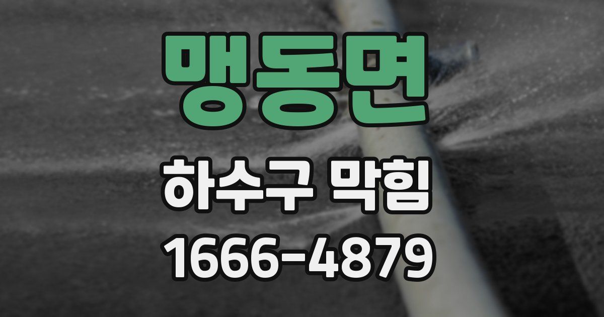 맹동면 하수구 막힘