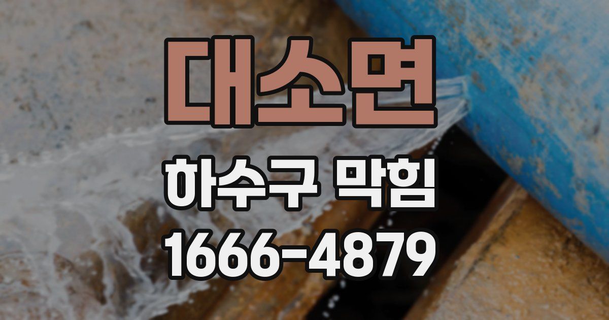 대소면 하수구 막힘