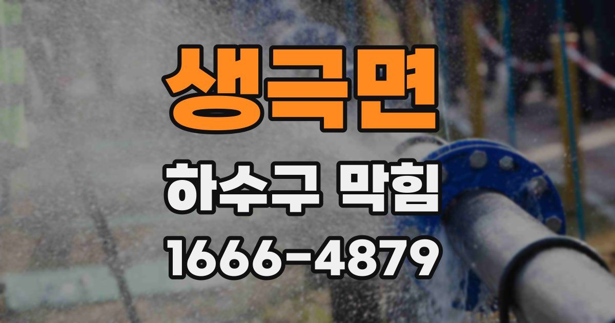 생극면 하수구 막힘