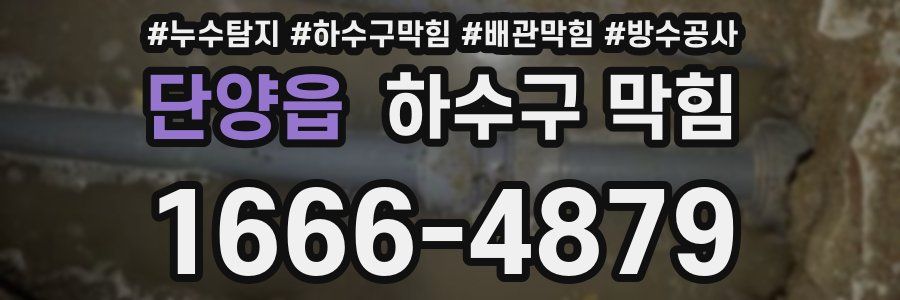 단양읍 하수구 막힘