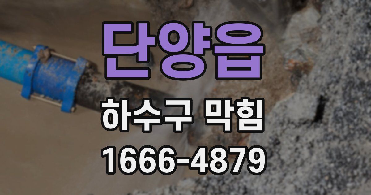 단양읍 하수구 막힘
