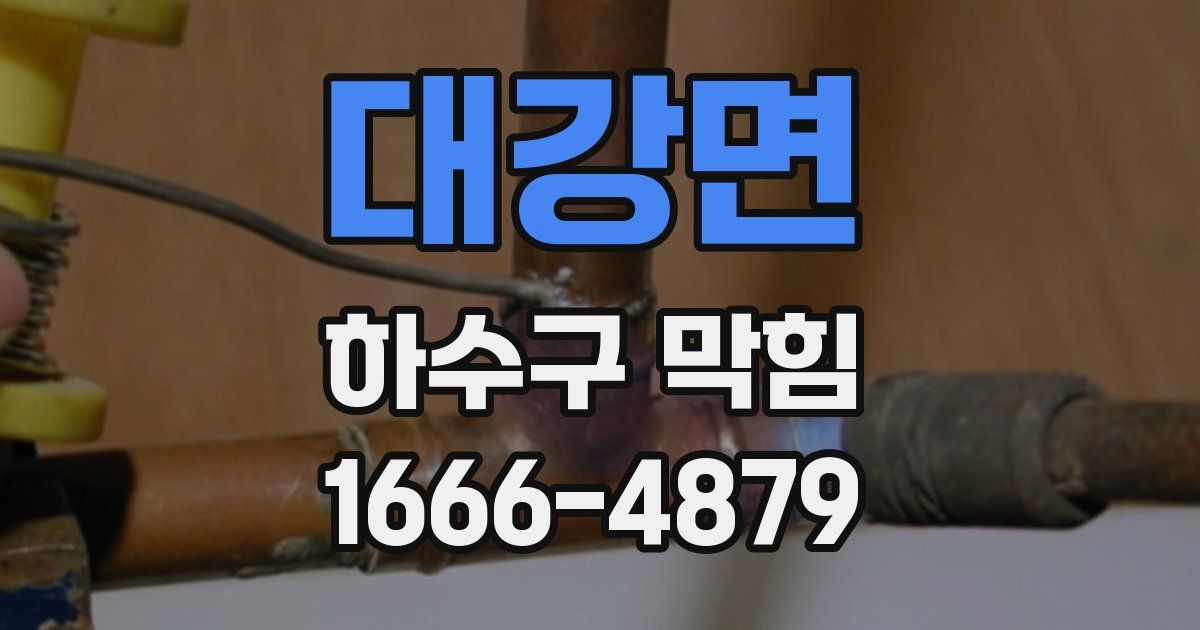 대강면 하수구 막힘