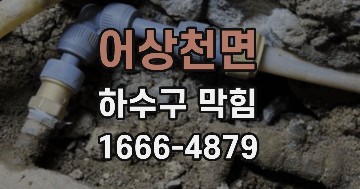 어상천면 하수구 막힘