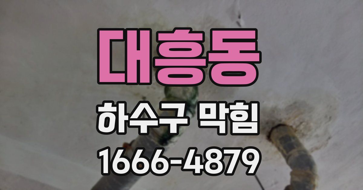 대흥동 하수구 막힘