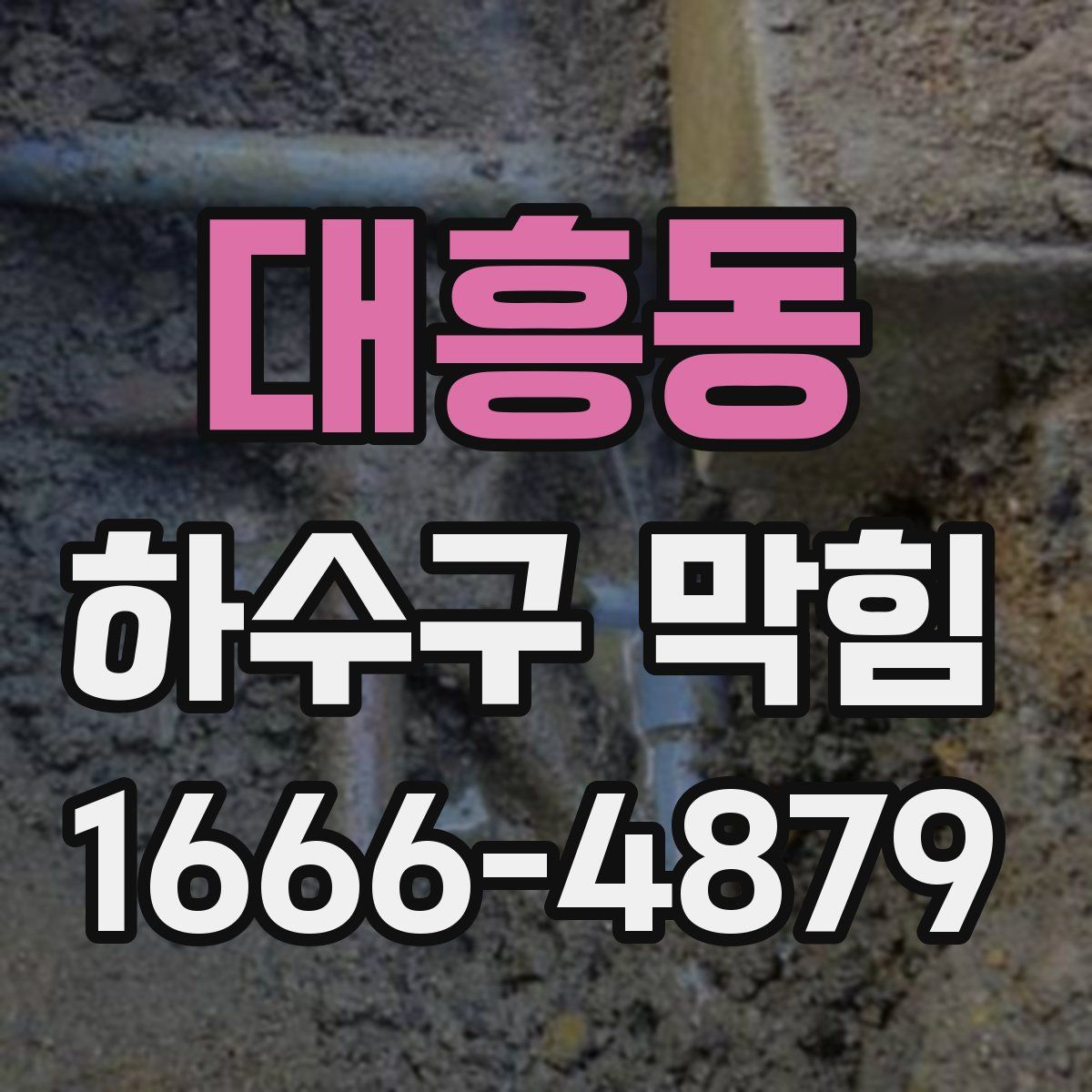 대흥동 하수구 막힘