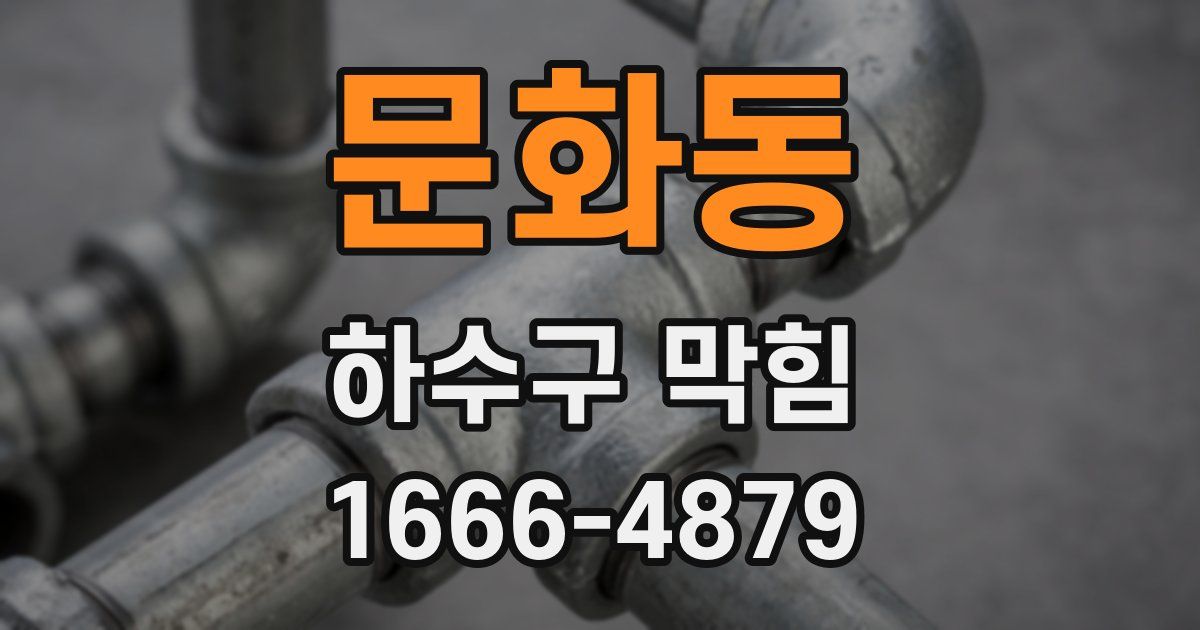 문화동 하수구 막힘
