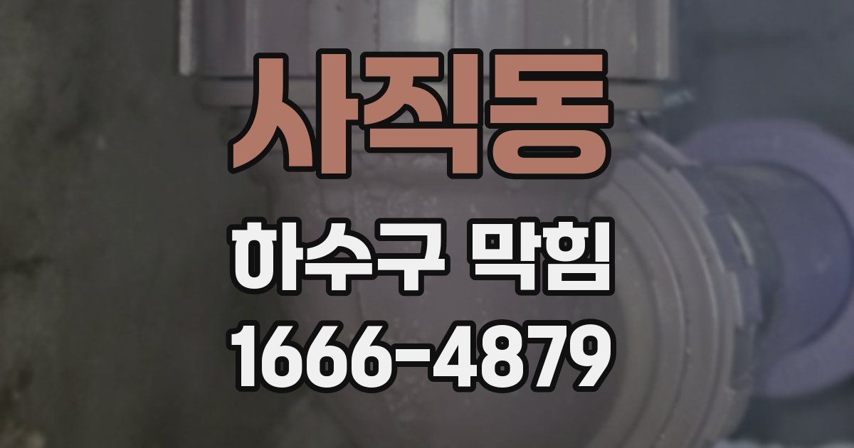 사직동 하수구 막힘
