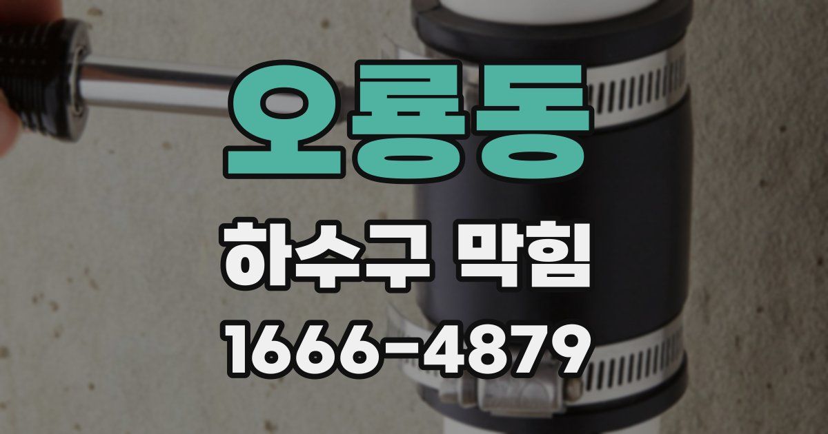오룡동 하수구 막힘