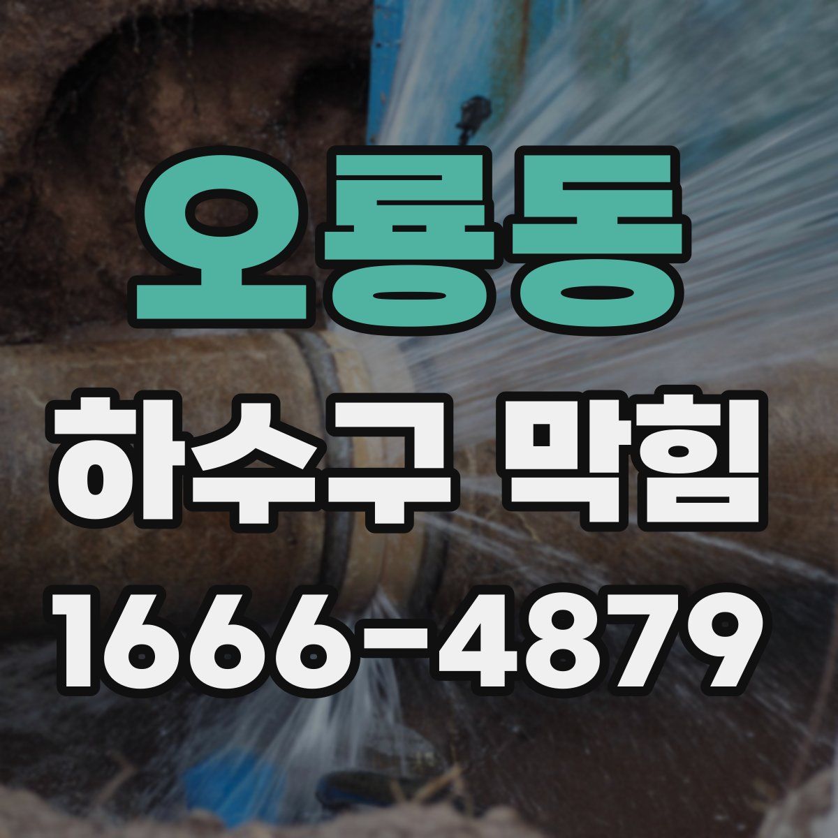 오룡동 하수구 막힘