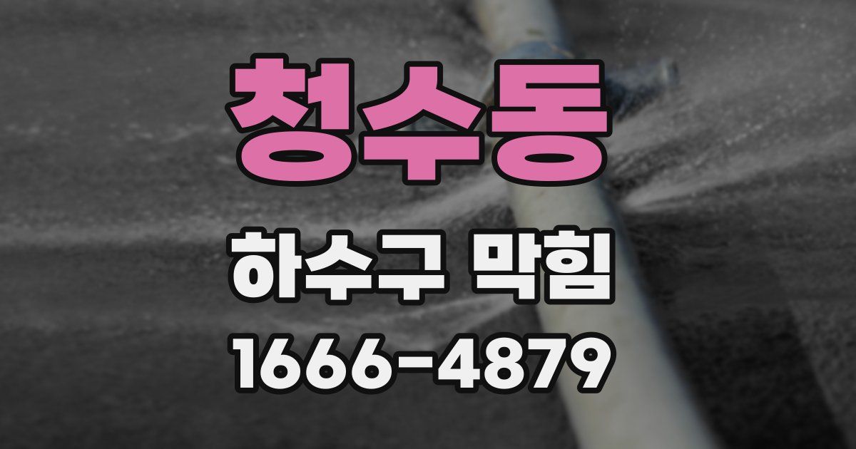 청수동 하수구 막힘