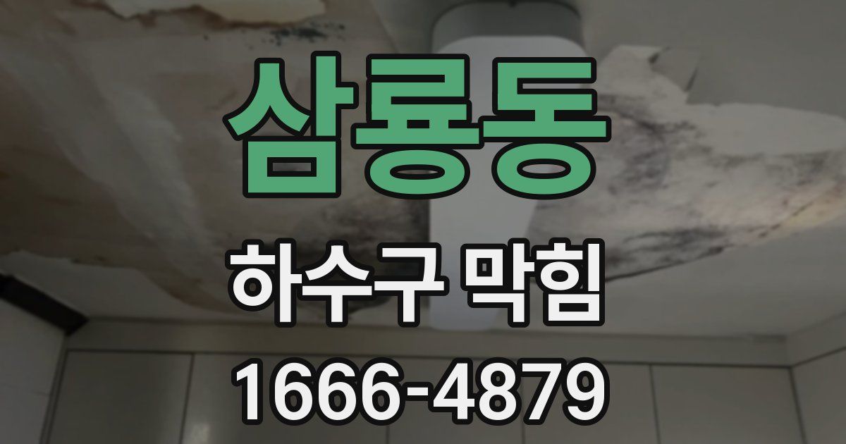 삼룡동 하수구 막힘