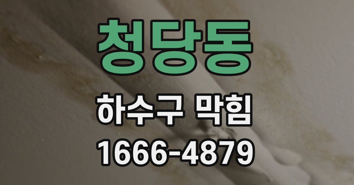 청당동 하수구 막힘