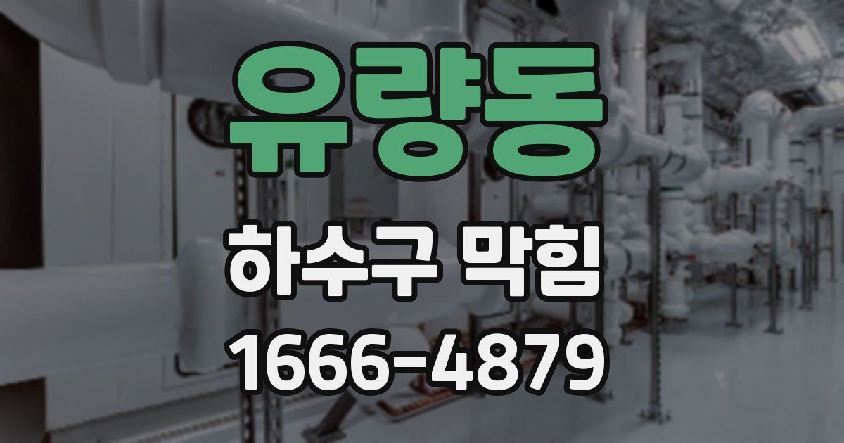 유량동 하수구 막힘