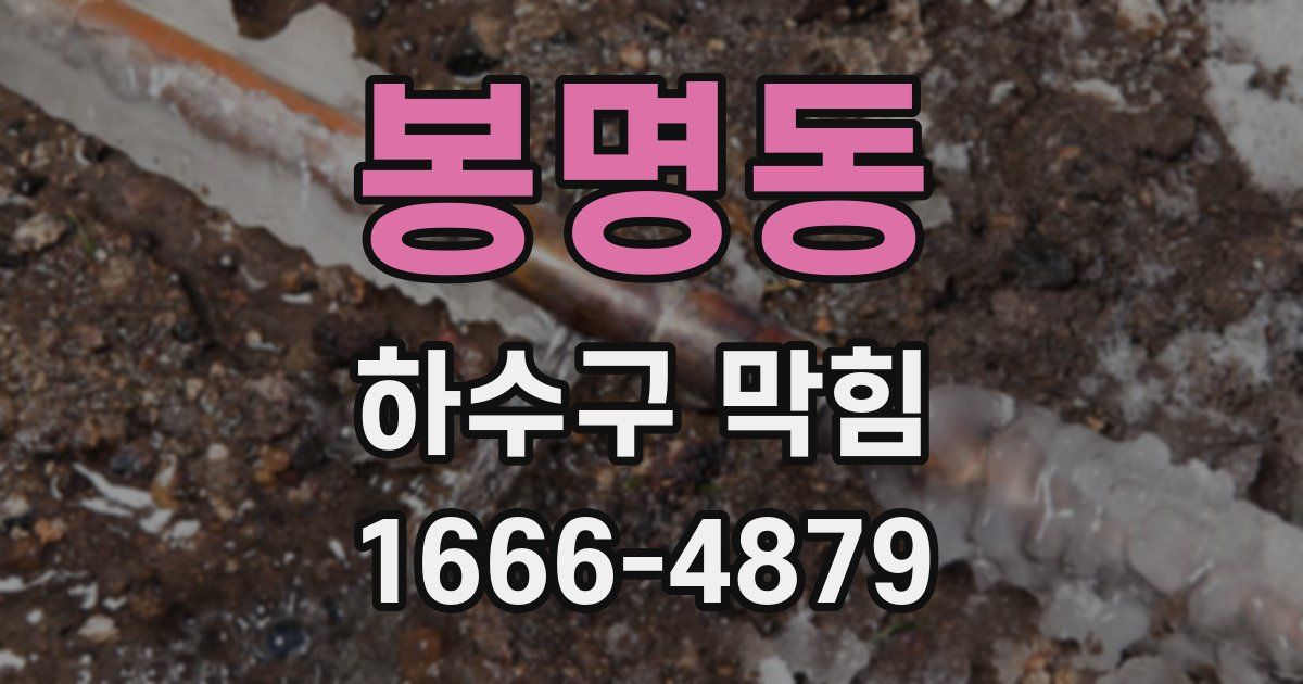 봉명동 하수구 막힘